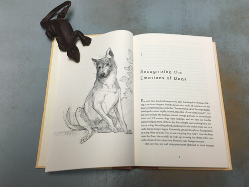 "Dogs Never Lie About Love" by Jeffrey Moussaieff Masson 1st/6th HC/DJ 1997 - Foto 12 di 17