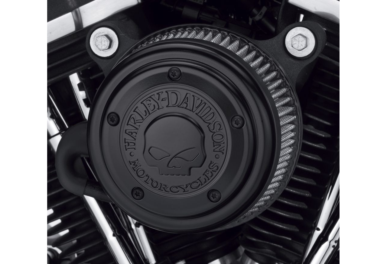 Harley Davidson 29400366 Willie G Black Air Cleaner Trim Dyna Softail