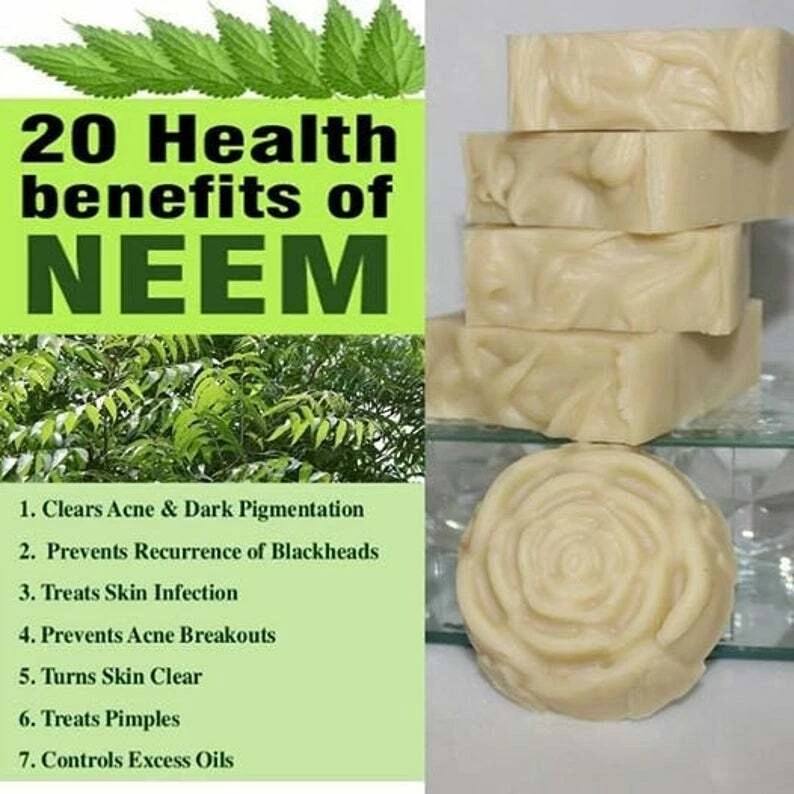 Neem Oil Soap Recipe Cold Process Soap Recipe For Problem, 55 OFF