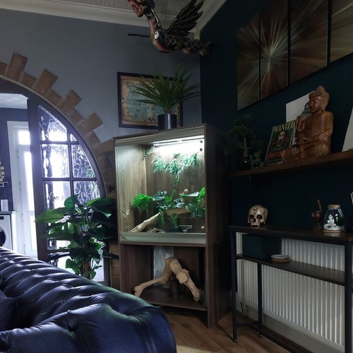 extra large vivarium - Picture 2 of 2