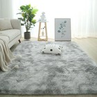 Fluffy Plush Carpets for Living Room Floor Mats Anti-slip Area Rugs Home Decor