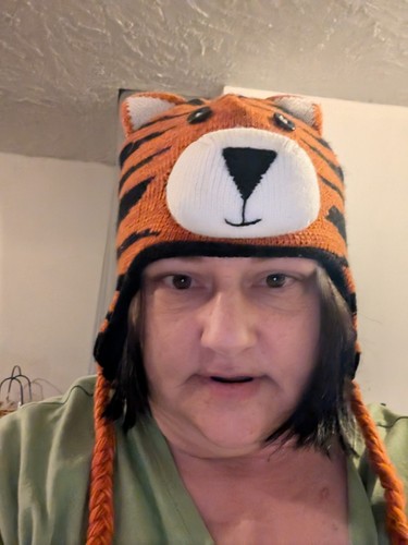 AGB Knit Adult Tiger Hat with Ears ONE SIZE BIN B 21 - Picture 7 of 9