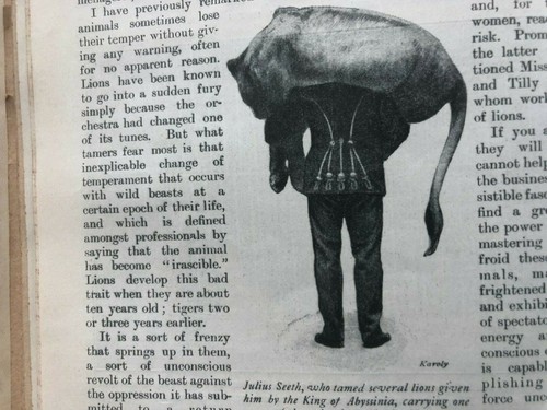 Wild Animal Taming Seeth Pezon Juliano Lion Tamer Trainer Rare Old Article 1905 - Picture 7 of 7