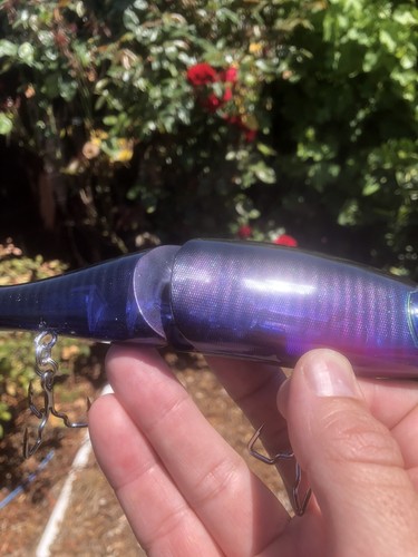 Custom Painted Glide Bait Jointed Claw 230mm Magnum Premium Blank TRAPPER HOOKS - Bild 6 von 6