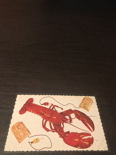 VINTAGE UNPOSTED POSTCARD HOMARD GEANT / THE LOBSTER IS KING - Imagen 1 de 2