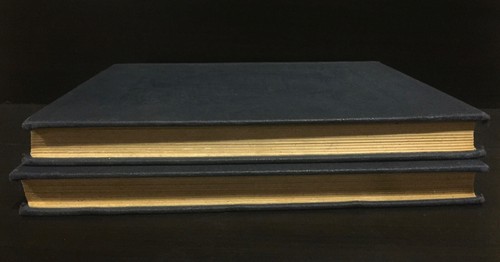THE INTERNATIONAL LIBRARY OF MUSIC FOR VIOLINISTS Vol. I & II 1928 - Foto 3 di 12