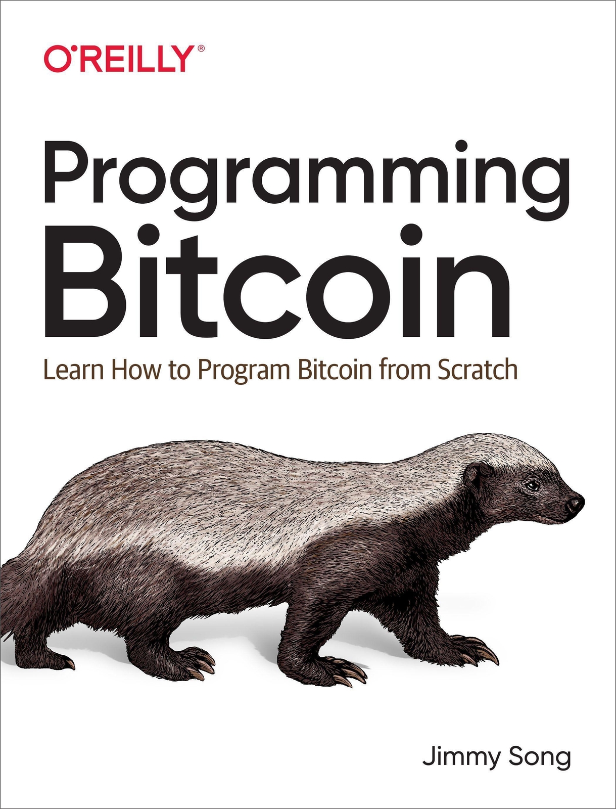 Thumbnail - Programming Bitcoin | Learn How To Program Bitcoin From Scratch |