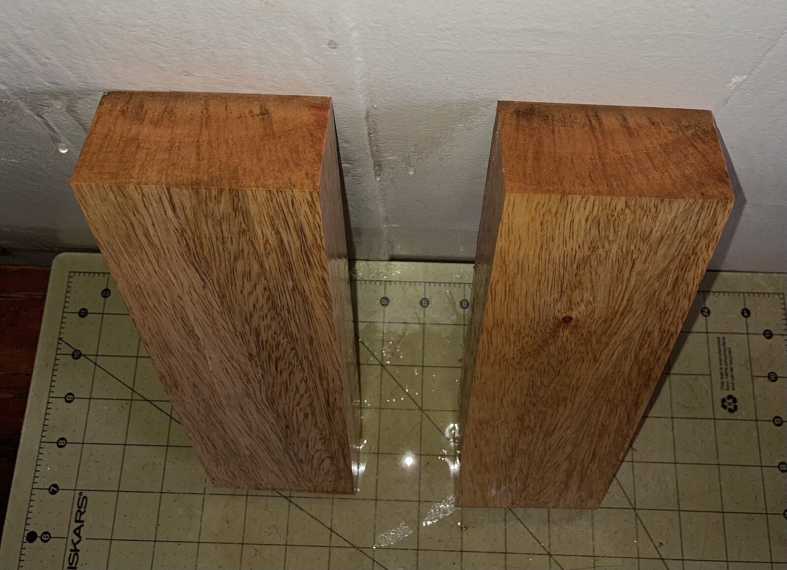 Picture 5 of 5