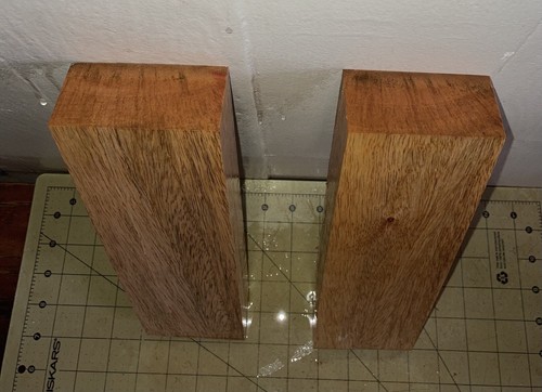 Two Pieces Hawaiian Mango Board w/Curl~ 12" x 3 1/8" x 1 2/3" (#746) - Picture 5 of 5