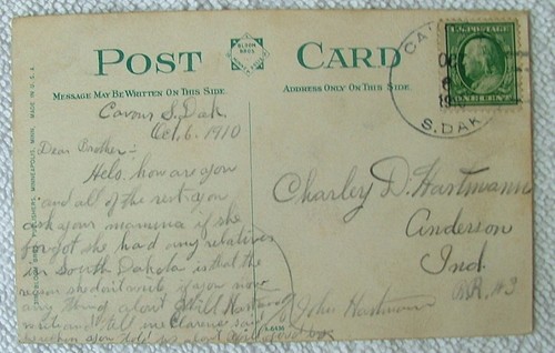 1910 POSTCARD RANGE CATTLE READY FOR SHIPMENT TO MARKET SOUTH DAKOTA #3362 - Picture 2 of 2