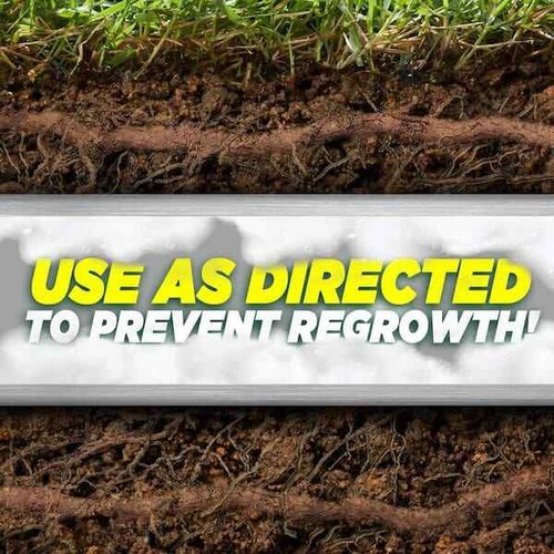 FOAMING Root Killer 10Lb Kills Tree Roots in Pipes & Sewer Line Drain Cleaner - Picture 4 of 6