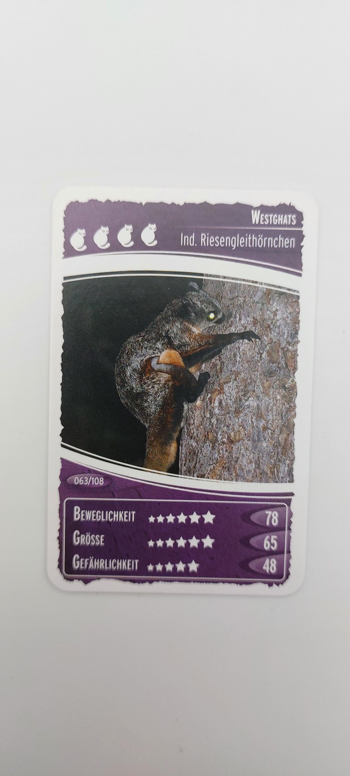 Bild 64 von 107