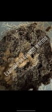 Closing Sale - 2oz By Weight Grindal Worm Culture