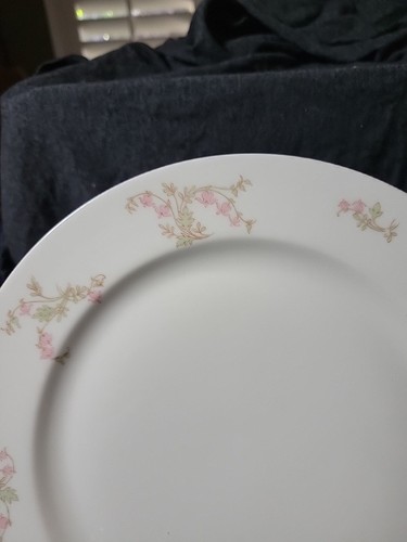 Haviland & Co. Limoges Dinner Plate (s) France Pink Roses Green Leaves IMPERFECT - Picture 3 of 9