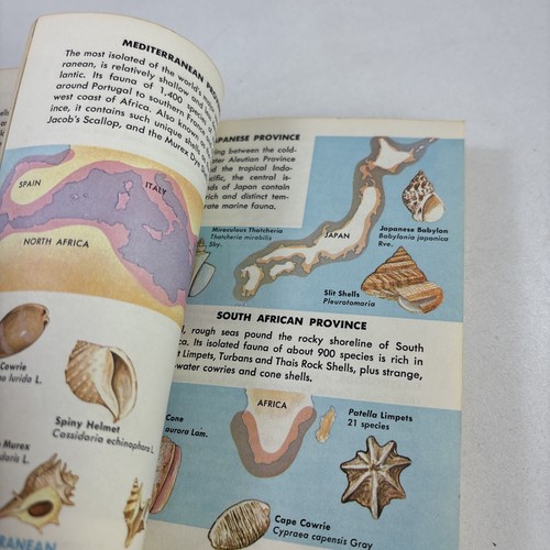 Sea Shells Of The World by R. Tucker Abbott (PB 1962) A Golden Nature Guide - Picture 5 of 9