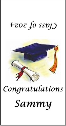 60 2024 Envolturas/etiquetas de pepita Hershey de graduación - Favores de fiesta personalizados - Imagen 3 de 18