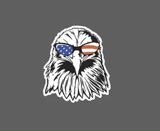 Bald Eagle Sticker USA Glasses Waterproof America Gift NEW