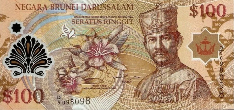 主*人様 ブルネイ $100 紙幣 旧貨幣 100 BRUNEI Dollars Sultan Bolkiah Polymer Banknotes. $100 Brunei