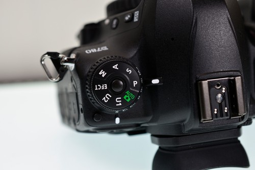 Nikon D780 24,5 MP DSLR CORPO CON SOLO 10.980 OTTURATORI!!! Come nuovo - Foto 8 di 11