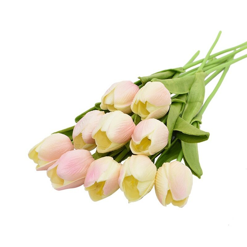 Afbeelding 15 van 27