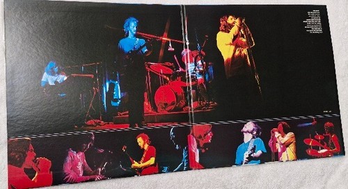 The Doors - Absolutely Live 2LP Gatefold. P-6349 - 5OE. 1978 Japan. - Picture 4 of 7