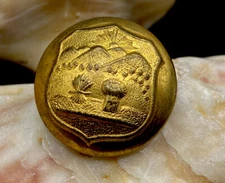 Original 1870s-90s Ohio State Seal Gold Gilt Brass Staff Officer Uniform Button
