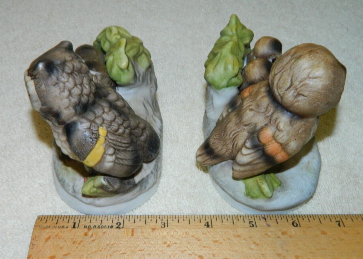Picture 9 of 9