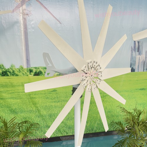 3000W Generatore per turbina eolica MPPT Charge Controller Windmill 12V/24V/48V - Imagen 20 de 26