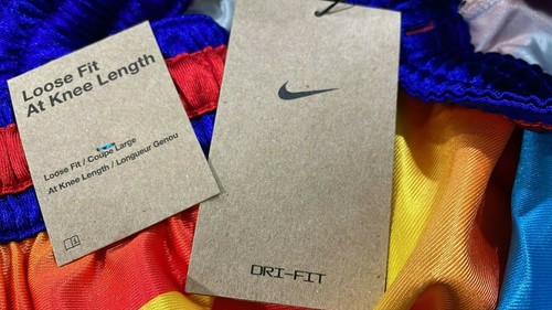 Nike LeBron x Space Jam Basketball Shorts DJ3869 434 Multicolor New Men's Size L - Picture 11 of 12