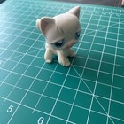 New ListingLittlest Pet Shop Angora Long Hair Cat #9