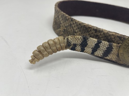 Handmade Rattlesnake Hat Band w/ Vintage Dodge City Brothel Coin 23 1/4 - Picture 4 of 7