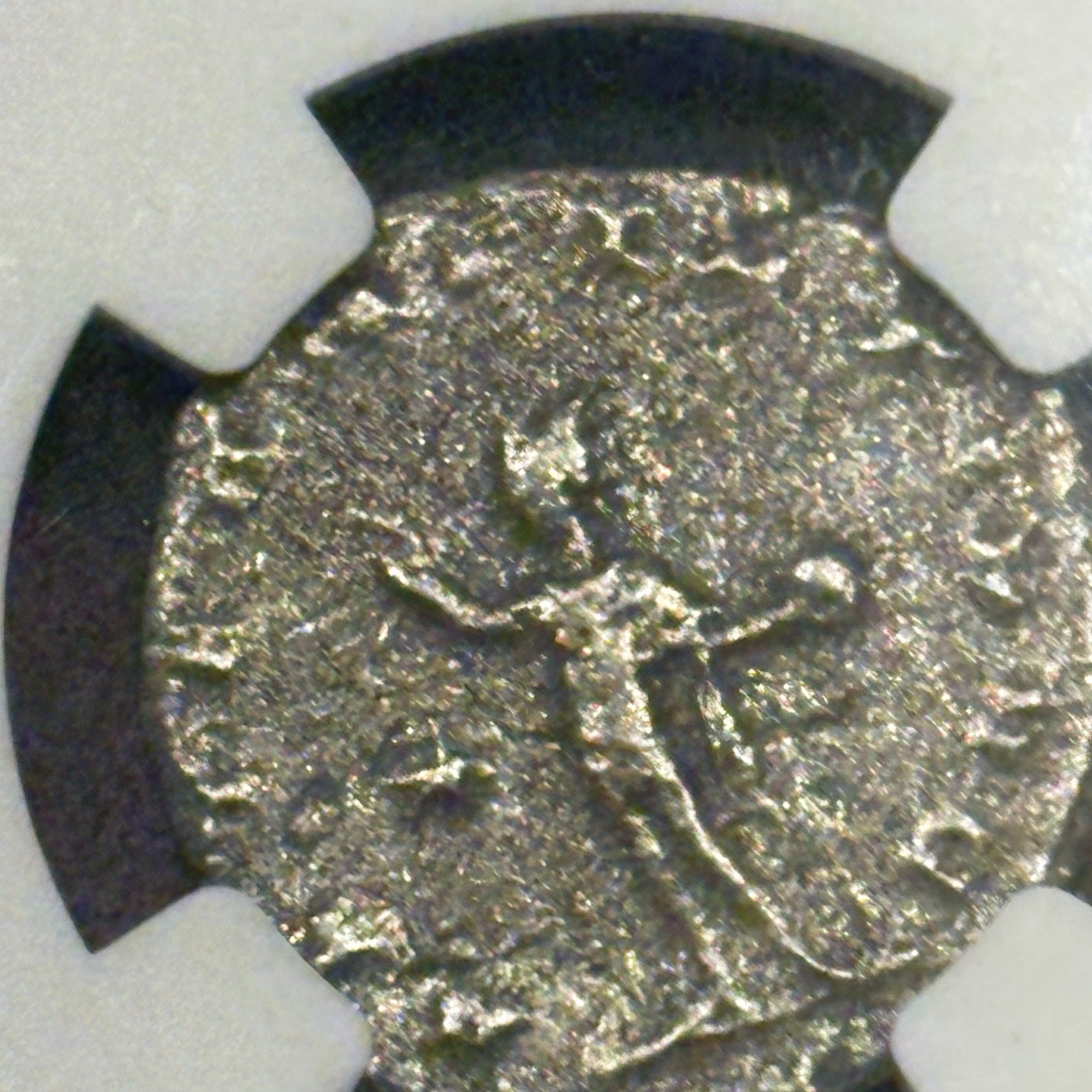 Foto 3 di 6