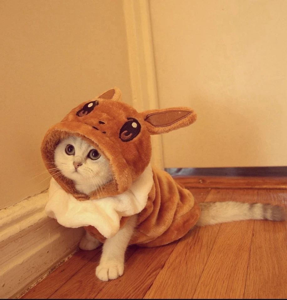 Jaqueta casaco roupa média animal de estimação cosplay quente lã fantasias cachorro Pokemon anime - Imagem 4 de 4