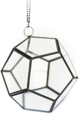 Glass Pentagon Terrarium with Tillandsia - Easy Indoor Outdoor Live Decor