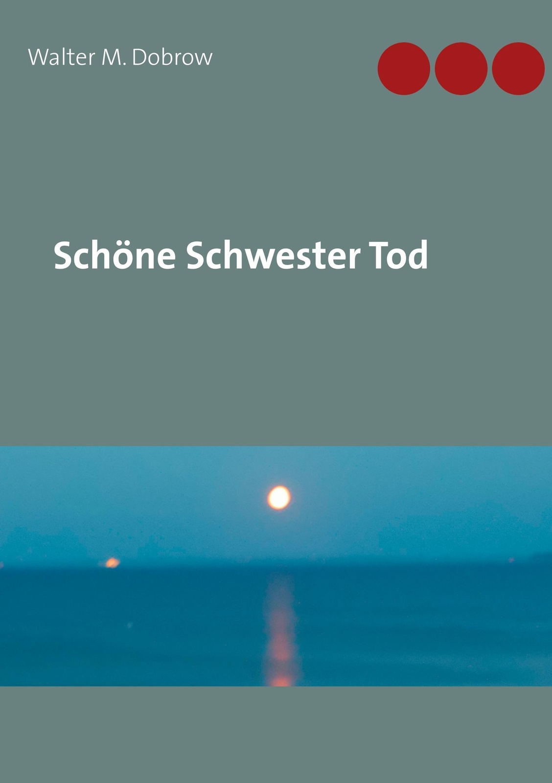 Thumbnail - Schöne Schwester Tod Walter M. Dobrow Taschenbuch Lübecker Bucht