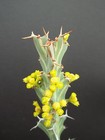 Foto 2 di 3
