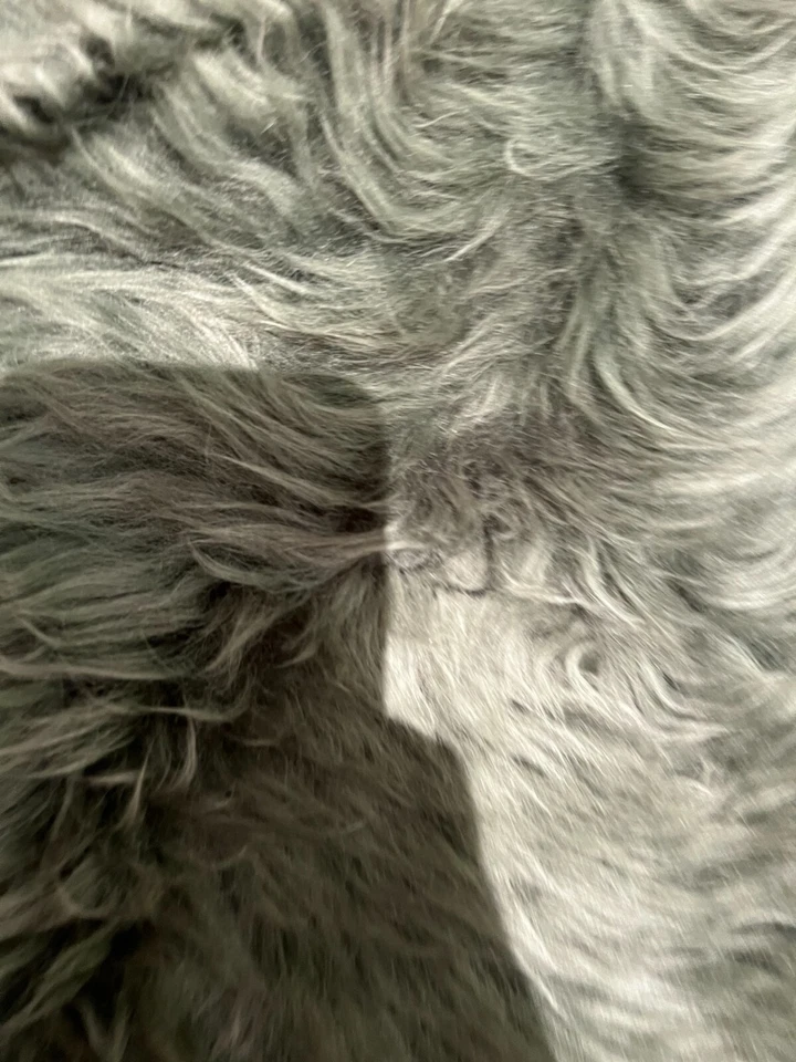 IKEA ULLERSLEV Piel de Oveja Verde 2 '4" Alfombra Suave Decoración de Suelo Vacaciones Alfombra de Baño Foto 2 de 4