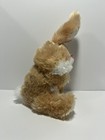 Picture 2 of 6