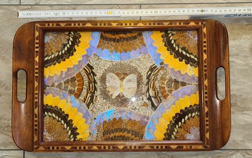 Tablett mit echten bunten Schmetterlingsflügeln Holztablett aus Brasilien schön