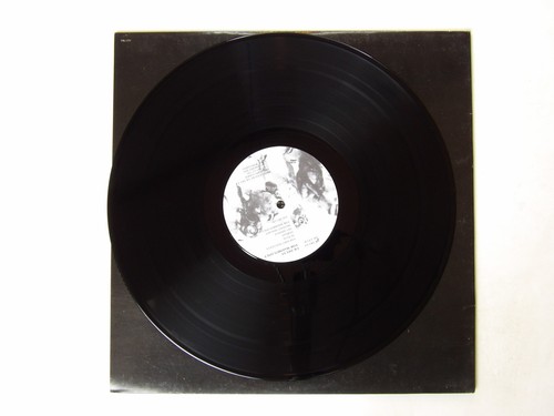 UK Decay: For Madmen Only 1981 UK A1/B1 NEAR MINT LP - Imagen 3 de 6
