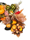 Bild 8 von 15