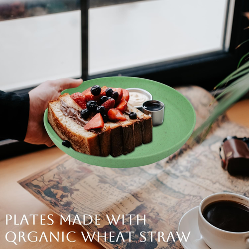 Dessert Plates Salad Plates Set of 8-10 Inch Wheat Straw Plates Unbreakable Plat - Bild 4 von 12