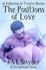 The Positions of Love by J M Snyder (Paperback / softback, 2011)