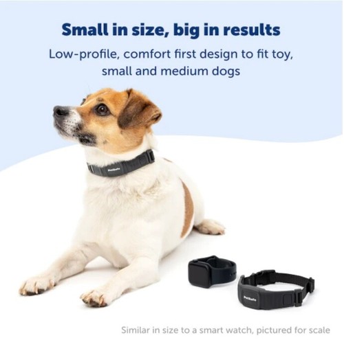 PetSafe PBC00-17758 NanoBark™ Collar | World's Smallest Bark Collar - Picture 2 of 5