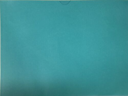 Vehicle Deal Jacket Blank 100 Qty. - Picture 21 of 24