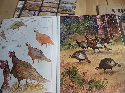 Vtg Walter T. Foster How To Draw & Paint Art 5 Magazines 1960s ORIGINAL NICE - Imagen 9 de 10