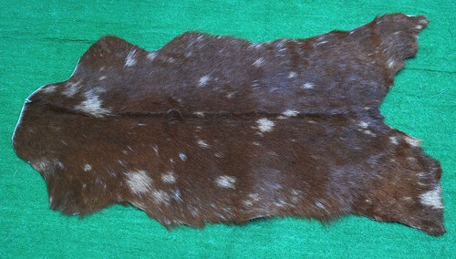 GOAT Western taxidermy Hide Rug Natural Pattern Fur Goat Hide Rode SA-2250