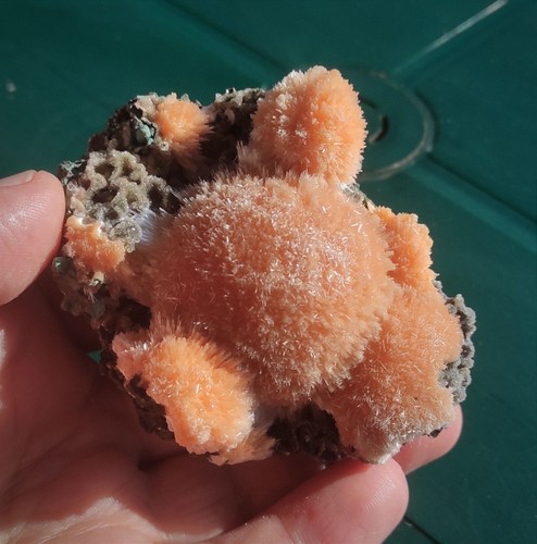 Splendide palline di Thomsonite arancione su Stilbite dall'India!!! - Foto 3 di 6