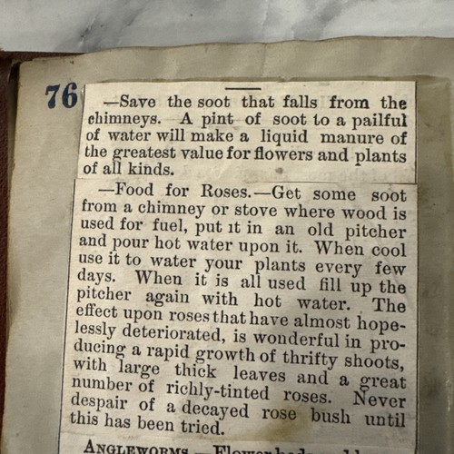 Nineteenth Century Scrapbook w/ Home Remedy, Living, Household Clippings RARE - Picture 19 of 20