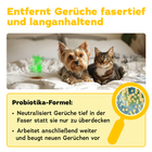 Bild 3 von 9